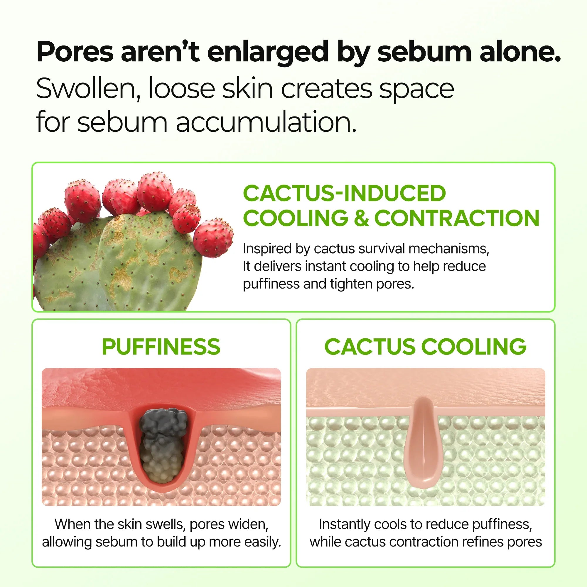 CACTOX Pore Relief Multi Balm — Cooling Formula for Visibly Smoother, Refined Skin