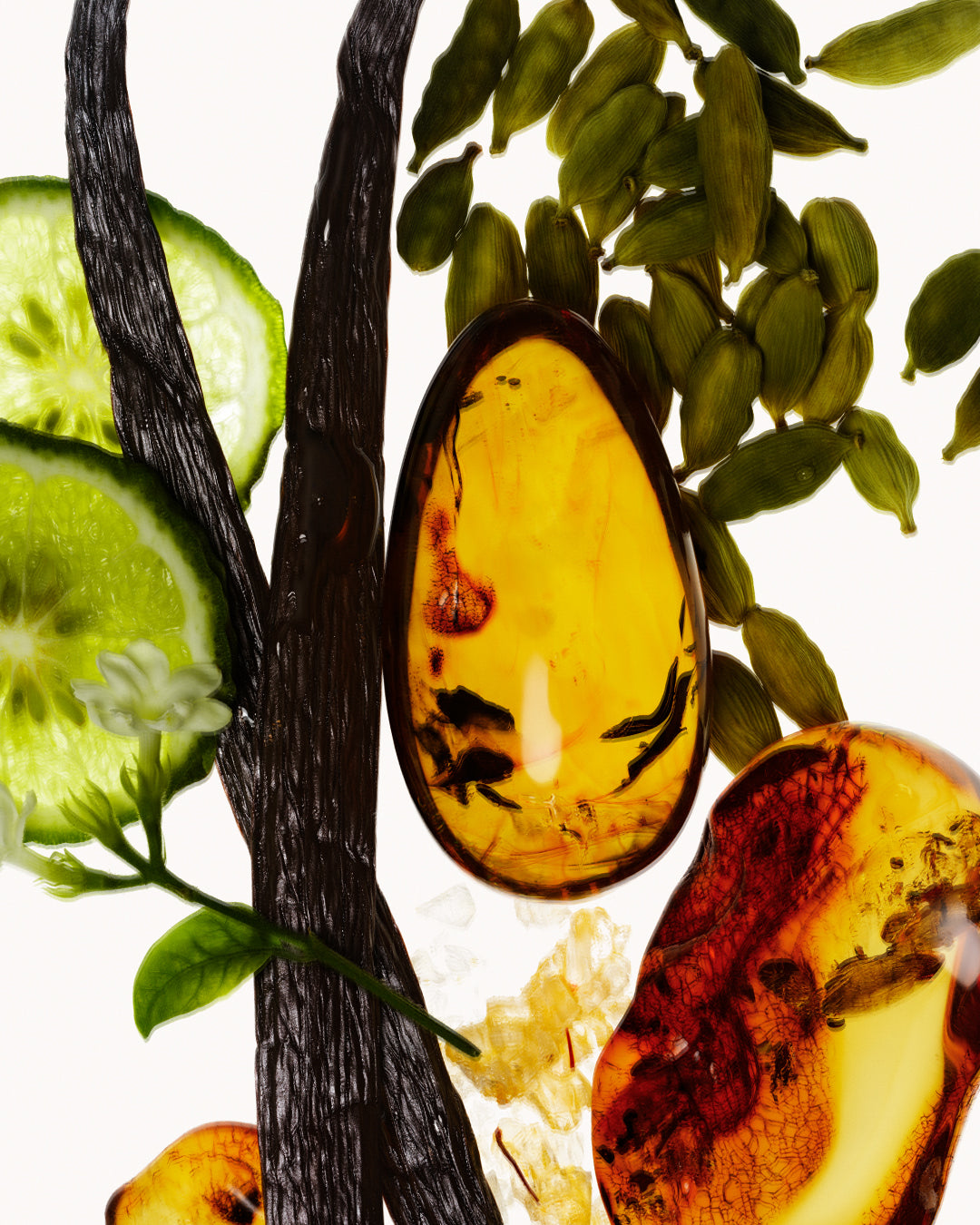 Vanilla Verve Illuminating Body Oil with Squalane and Green Coffee Seed Oil