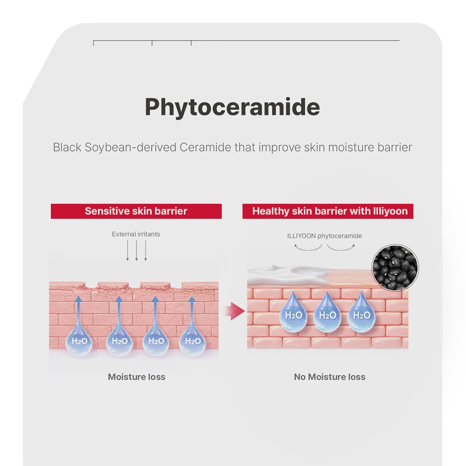 Ceramide Ato Concentrate Cream — 100-Hour Hydration for Dry & Sensitive Skin