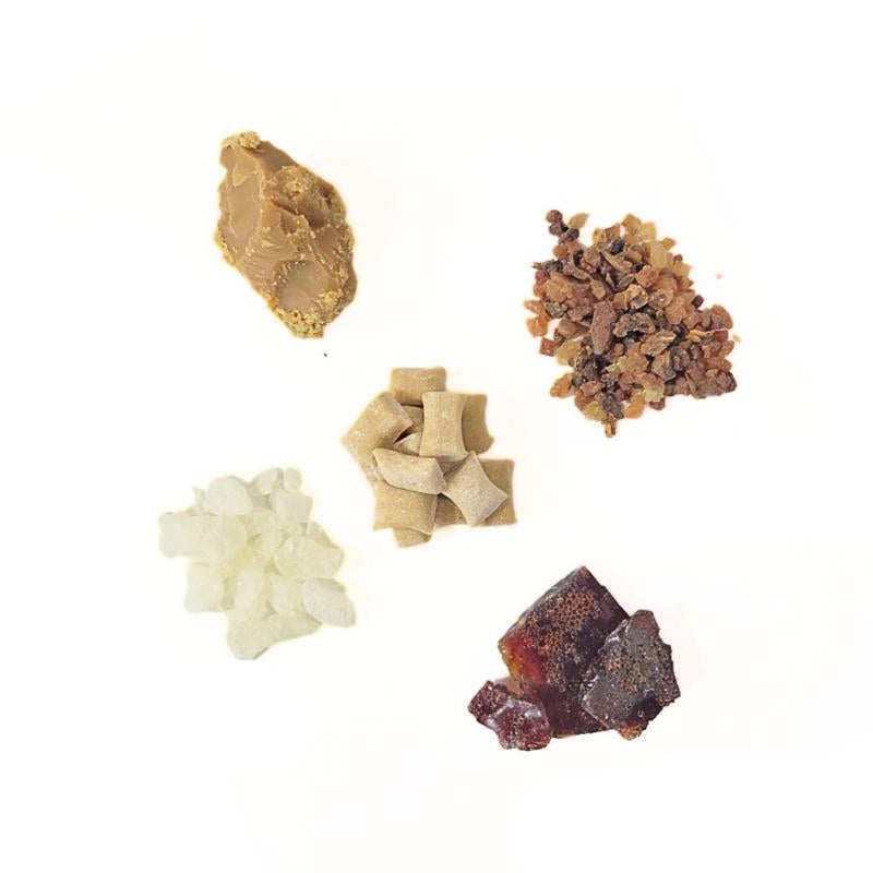 Underbrush Remineralizing Chewing Gum — Nano-Hydroxyapatite for Teeth & Gum